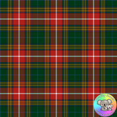 Tartan Fabric 12