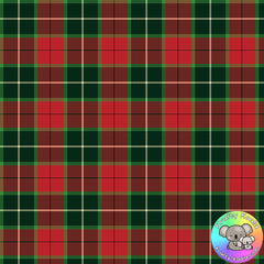 Tartan Fabric 6